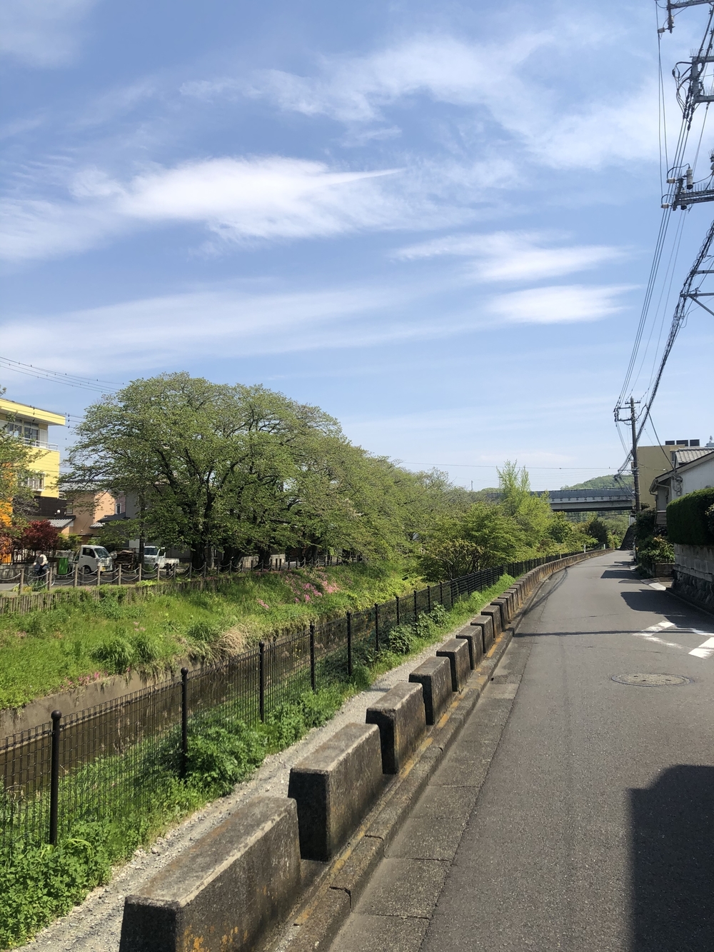 二宮町内ぐるり一周＊course!の写真3