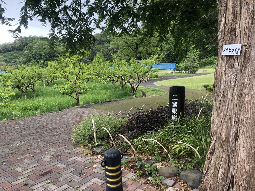 二宮町内ぐるり一周＊course!の写真5