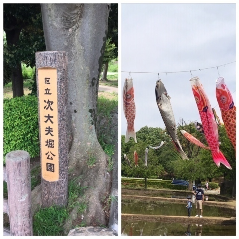 ゆるっと野川と多摩川(世田谷＆狛江市エリア）１５㌔ランの写真3