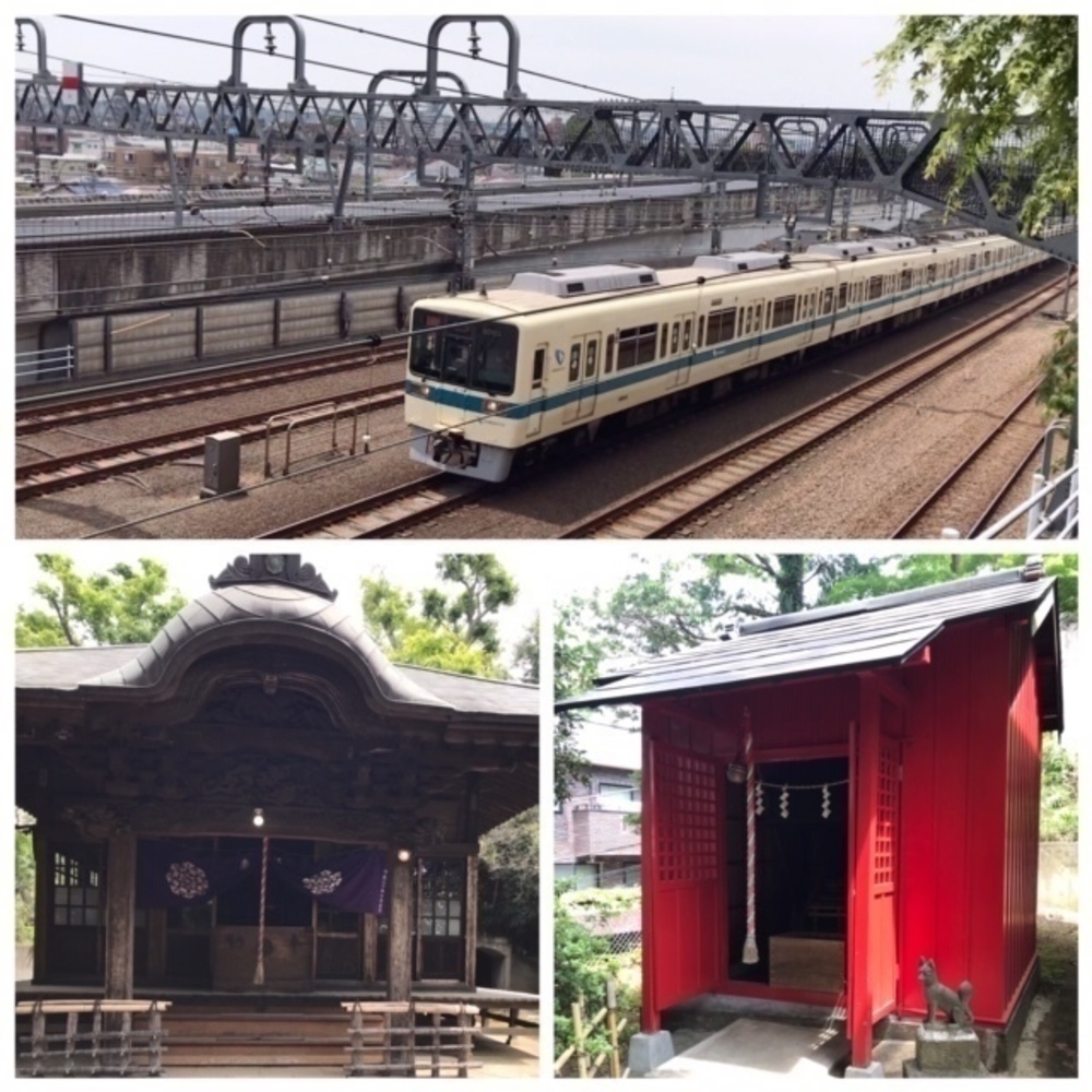 ゆるっと野川と多摩川(世田谷＆狛江市エリア）１５㌔ランの写真4