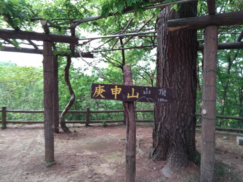 【群馬百名山】庚申山トレイルランの写真3