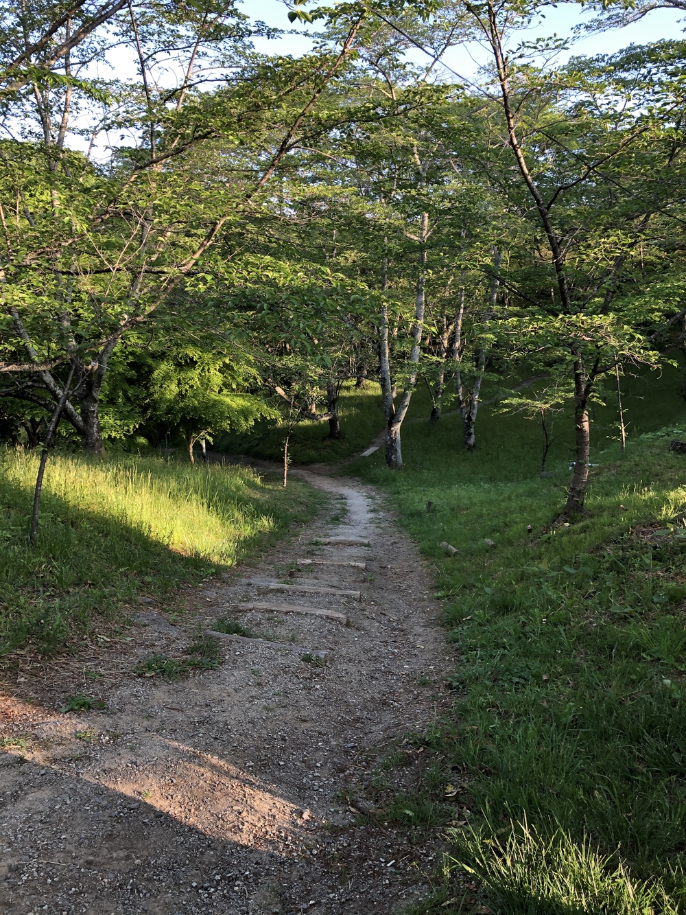 トレイルの雰囲気を味わえるミニトレイル＆ロードコース4キロの写真6