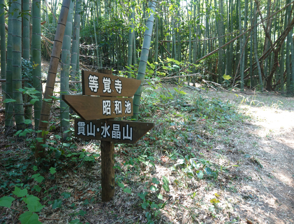 景色サイコー　山越え20キロコースの写真3