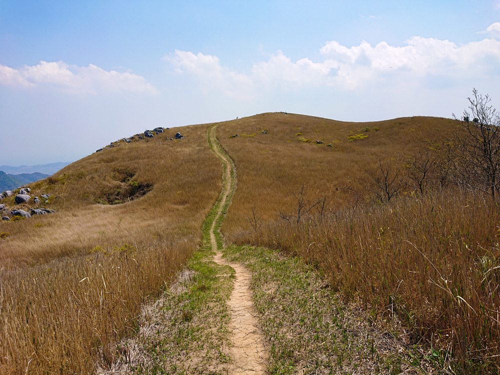 景色サイコー　山越え20キロコースの写真6