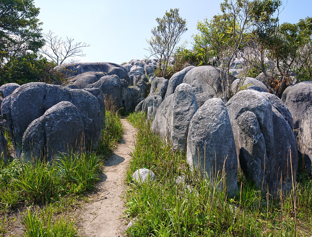 景色サイコー　山越え20キロコースの写真8