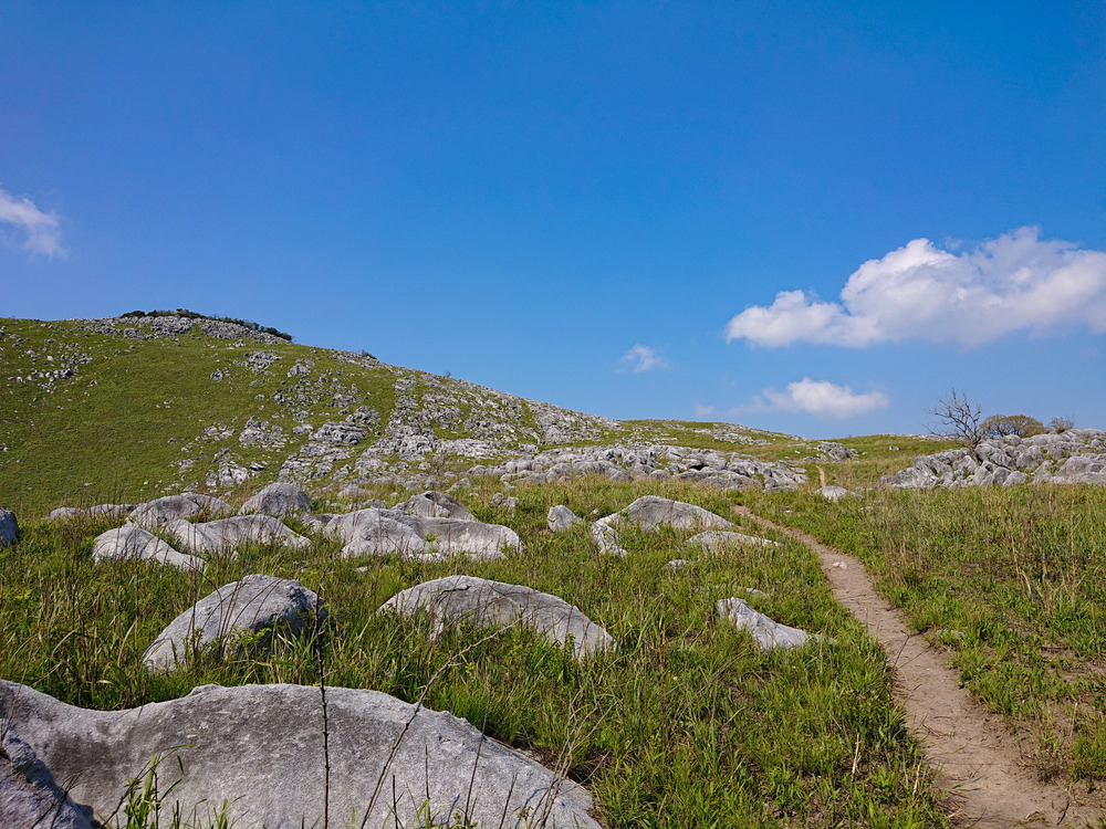 景色サイコー　山越え20キロコースの写真14