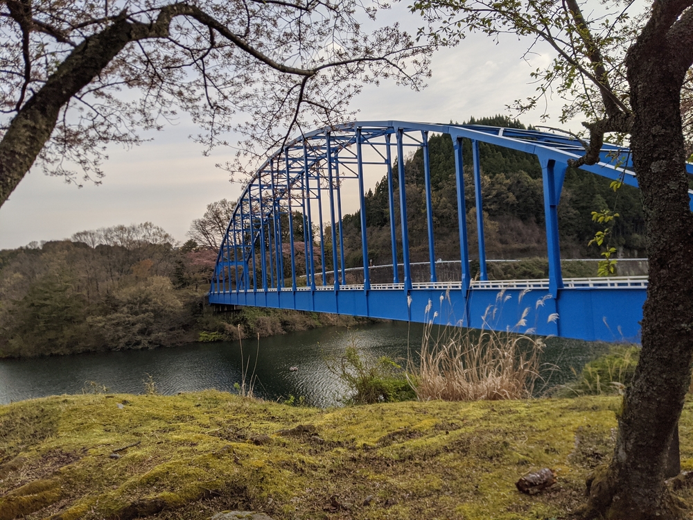 名張の湯〜青蓮寺湖　往復朝ランの写真3
