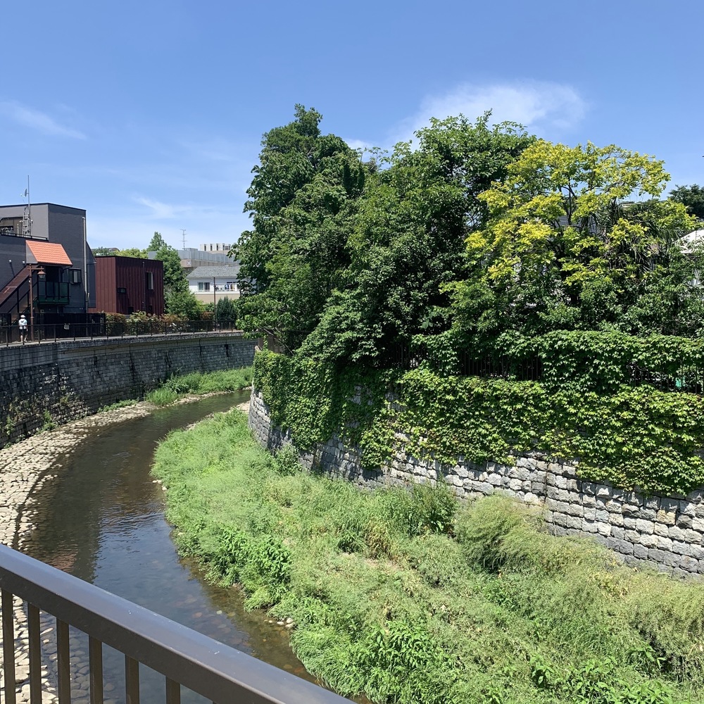 善福寺川〜妙正寺川〜神田川　周回リバーサイドランの写真9