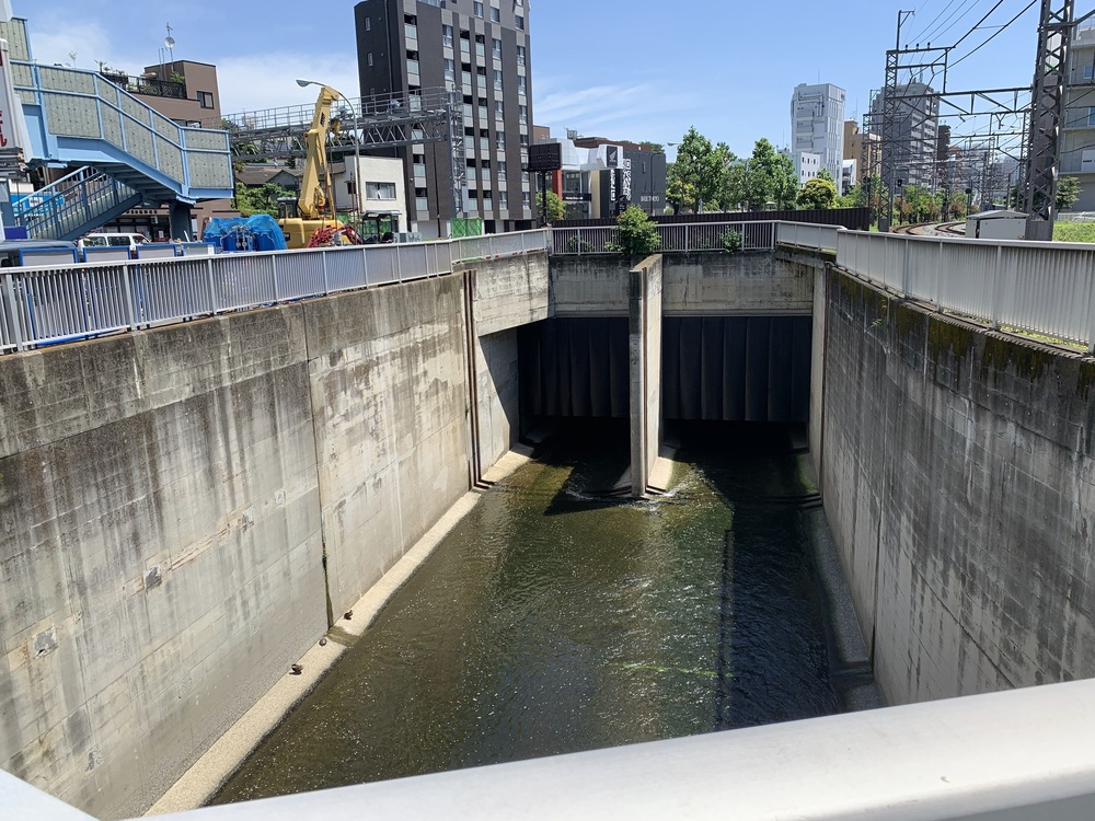 善福寺川〜妙正寺川〜神田川　周回リバーサイドランの写真11