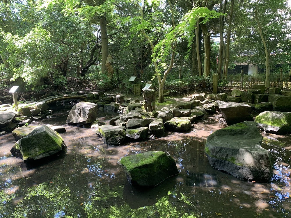 善福寺川〜妙正寺川〜神田川　周回リバーサイドランの写真12