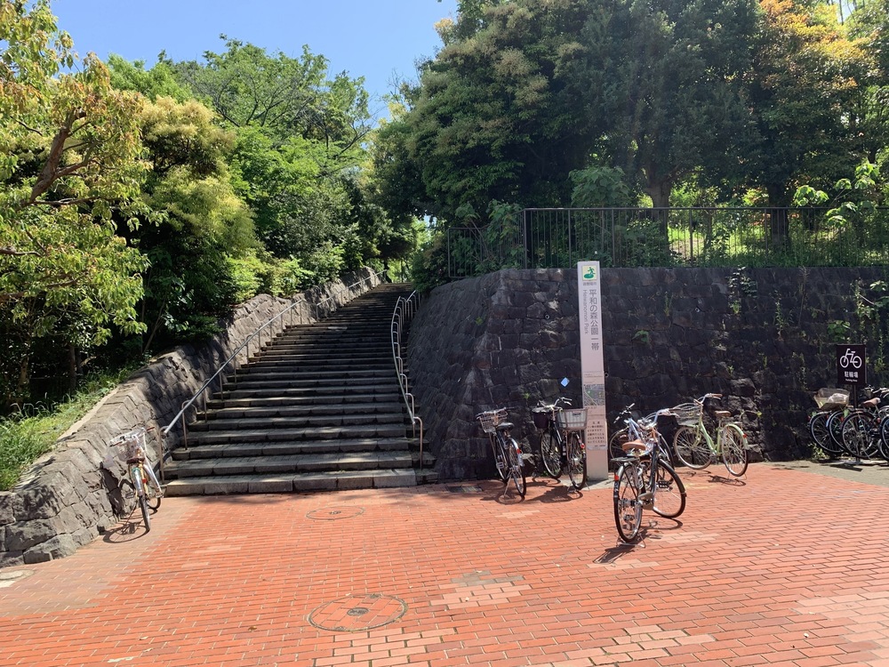 善福寺川〜妙正寺川〜神田川　周回リバーサイドランの写真13