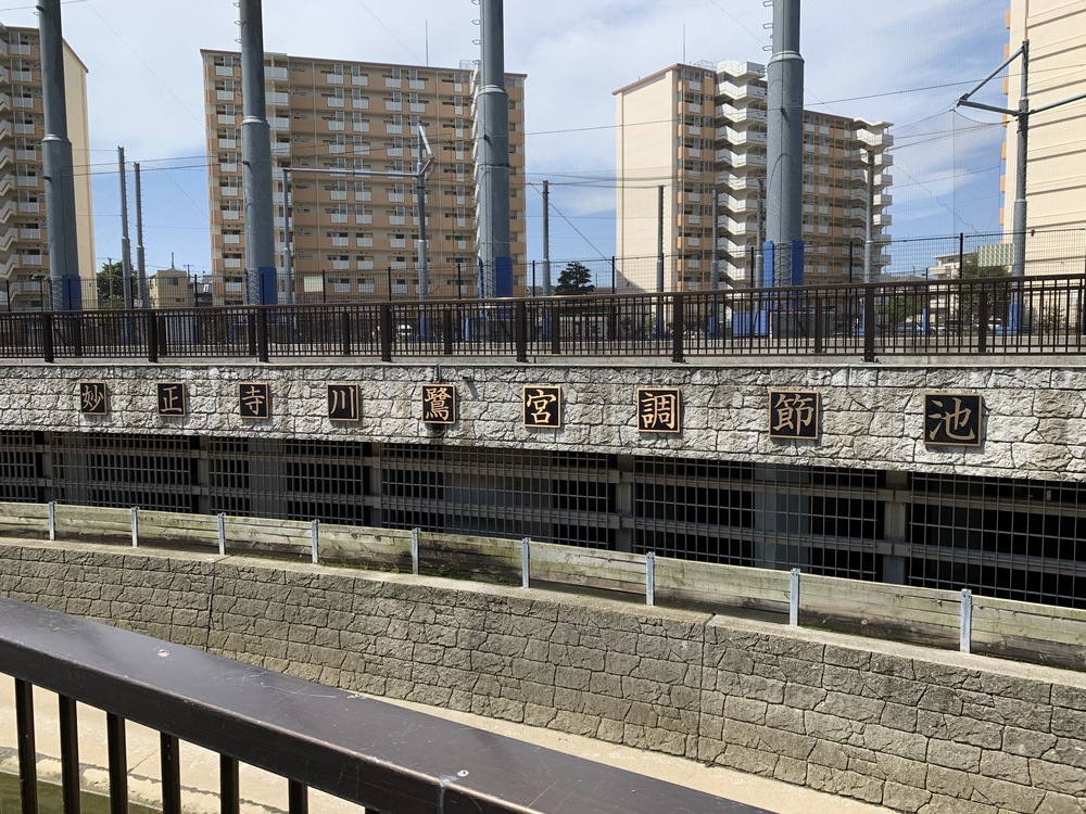 善福寺川〜妙正寺川〜神田川　周回リバーサイドランの写真15