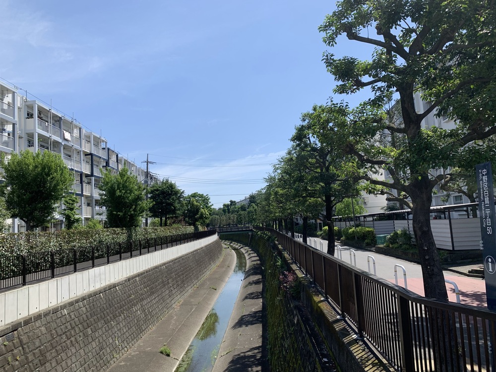 善福寺川〜妙正寺川〜神田川　周回リバーサイドランの写真16