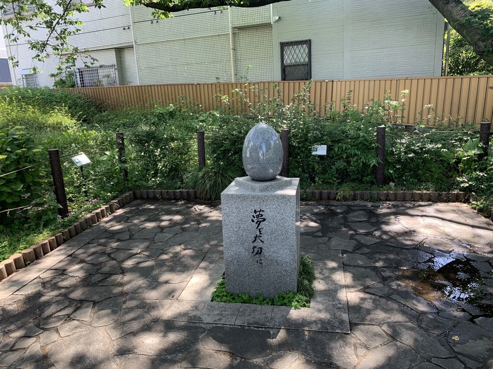 善福寺川〜妙正寺川〜神田川　周回リバーサイドランの写真17