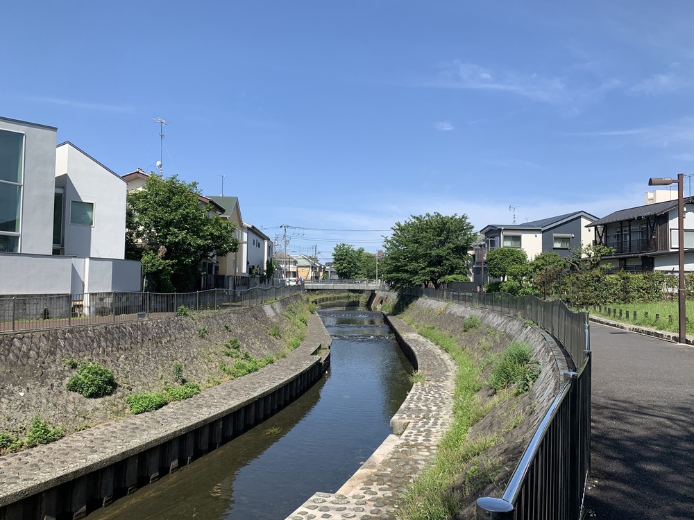 善福寺川〜妙正寺川〜神田川　周回リバーサイドランの写真19