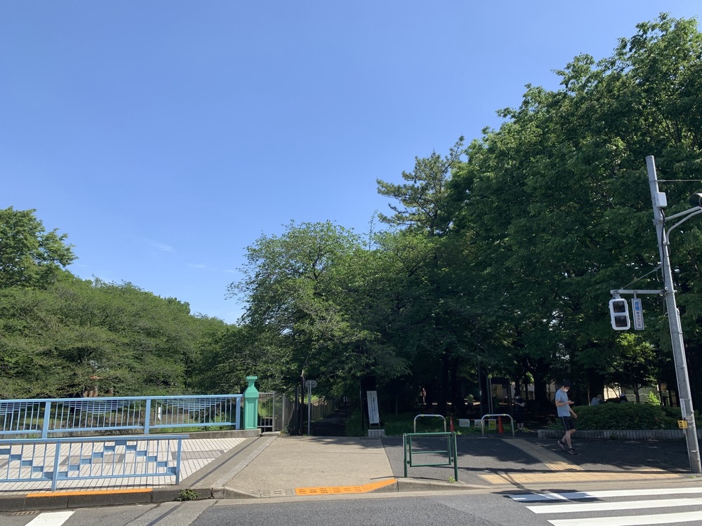 善福寺川〜妙正寺川〜神田川　周回リバーサイドランの写真20