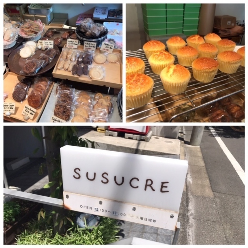 緑道をゆるっとラン（蛇崩川緑道編）の写真5