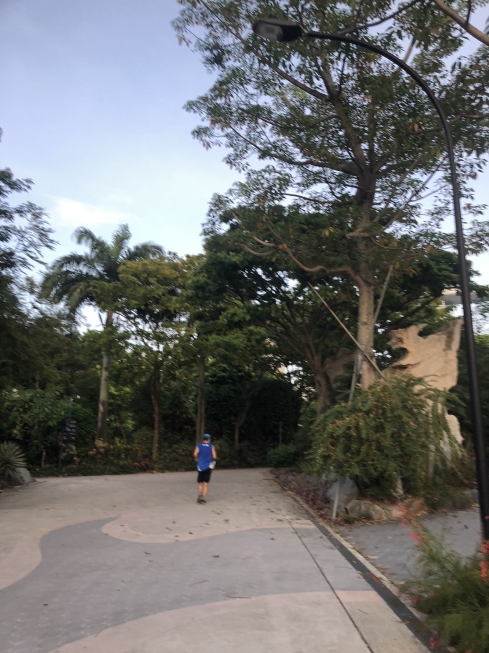 シンガポールお絵描きラン（２）ギズモ？グレムリン？ヨーダ？の写真3