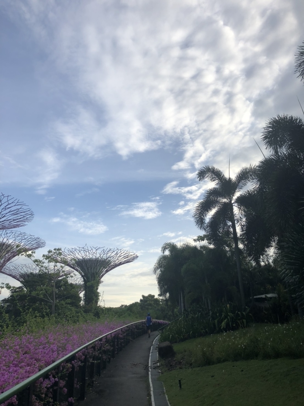 シンガポールお絵描きラン（２）ギズモ？グレムリン？ヨーダ？の写真6