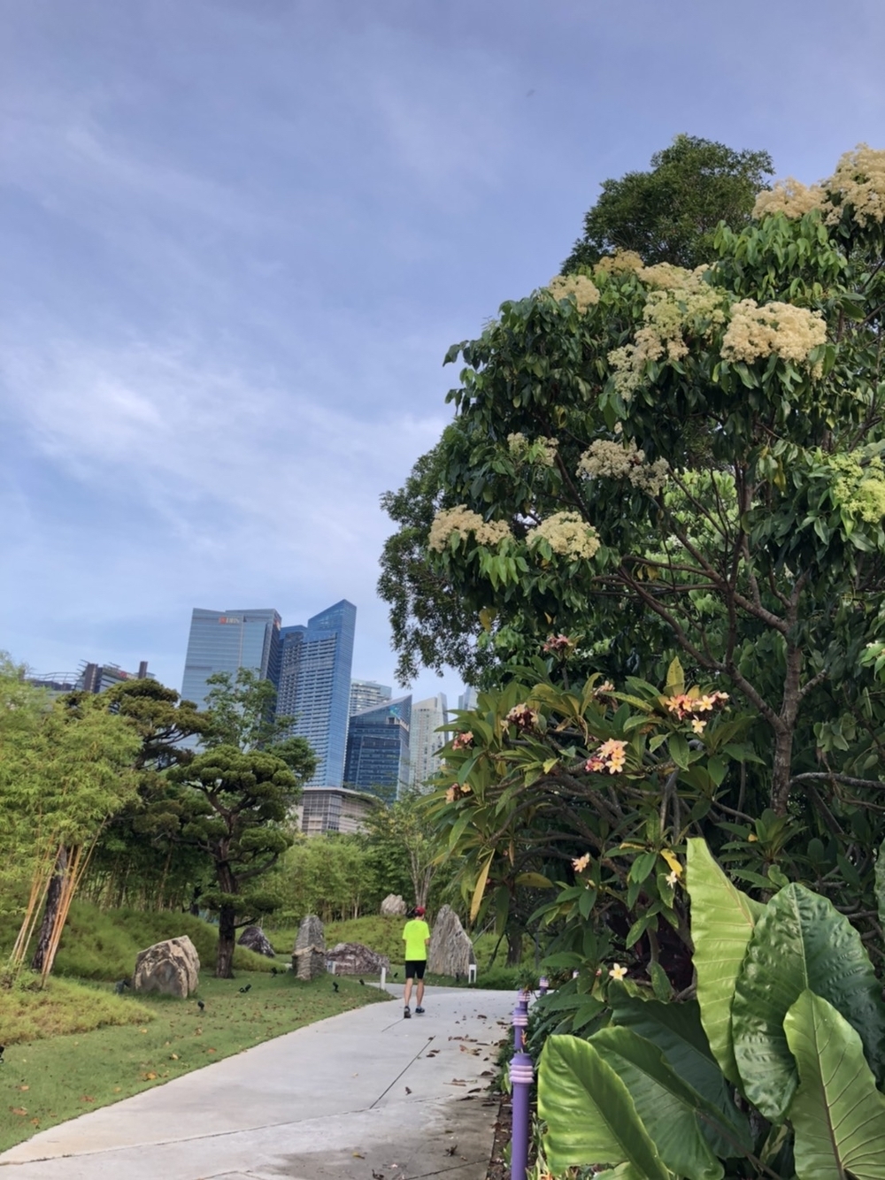 シンガポールお絵描きラン（３）タツノオトシゴの写真3