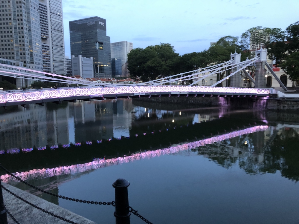 シンガポールお絵描きラン（４）マンモスの書き損じ？ゴリラ？の写真3