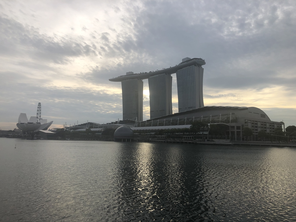 シンガポールお絵描きラン（４）マンモスの書き損じ？ゴリラ？の写真13