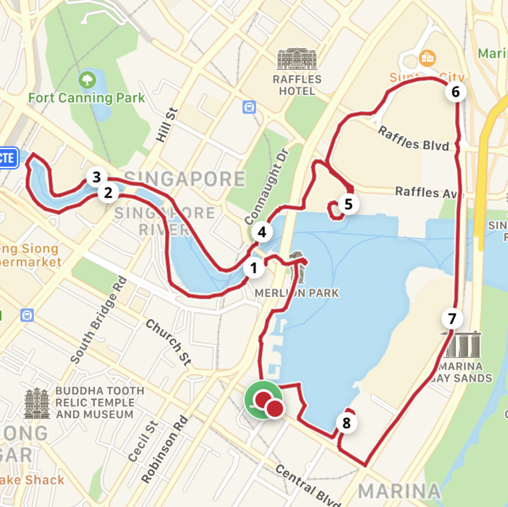 シンガポールお絵描きラン（４）マンモスの書き損じ？ゴリラ？の写真14