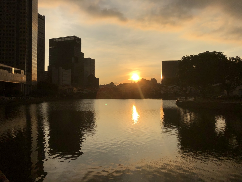 シンガポールお絵描きラン（５）象さんの写真4