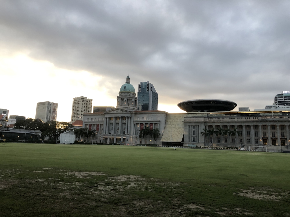 シンガポールお絵描きラン（５）象さんの写真6