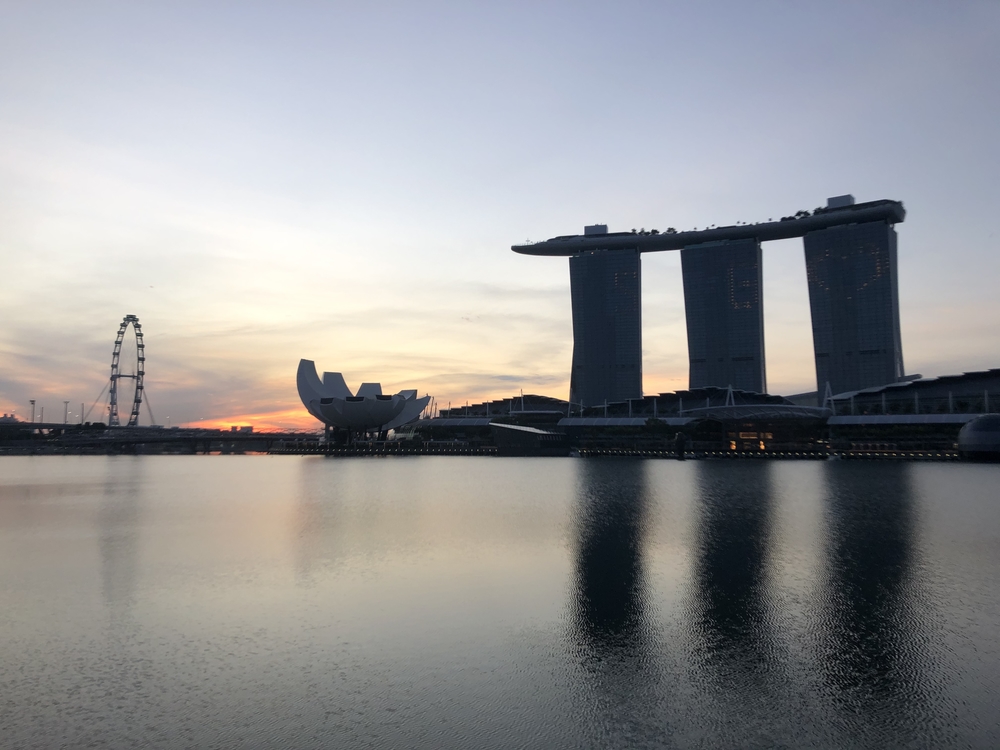 シンガポールお絵描きラン（６）ゴリラ？ドテチン？の写真3