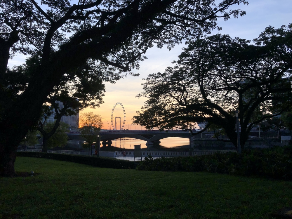 シンガポールお絵描きラン（６）ゴリラ？ドテチン？の写真7