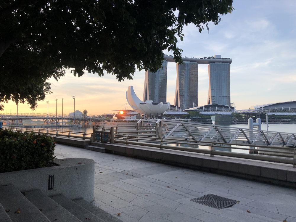 シンガポールお絵描きラン（６）ゴリラ？ドテチン？の写真8