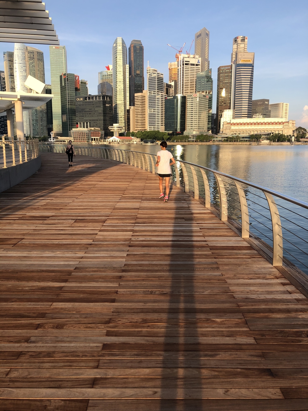 シンガポールお絵描きラン（６）ゴリラ？ドテチン？の写真9