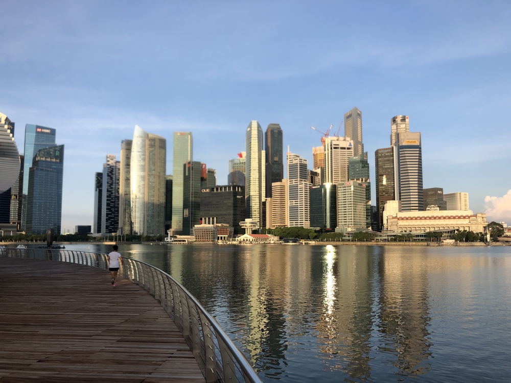 シンガポールお絵描きラン（６）ゴリラ？ドテチン？の写真10