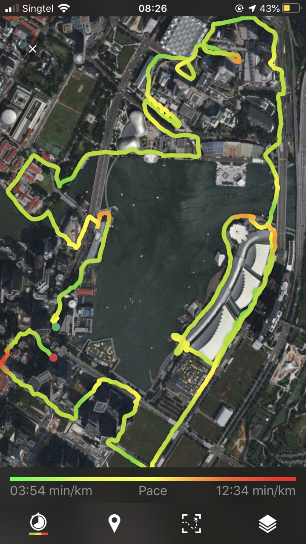 シンガポールお絵描きラン（６）ゴリラ？ドテチン？の写真12