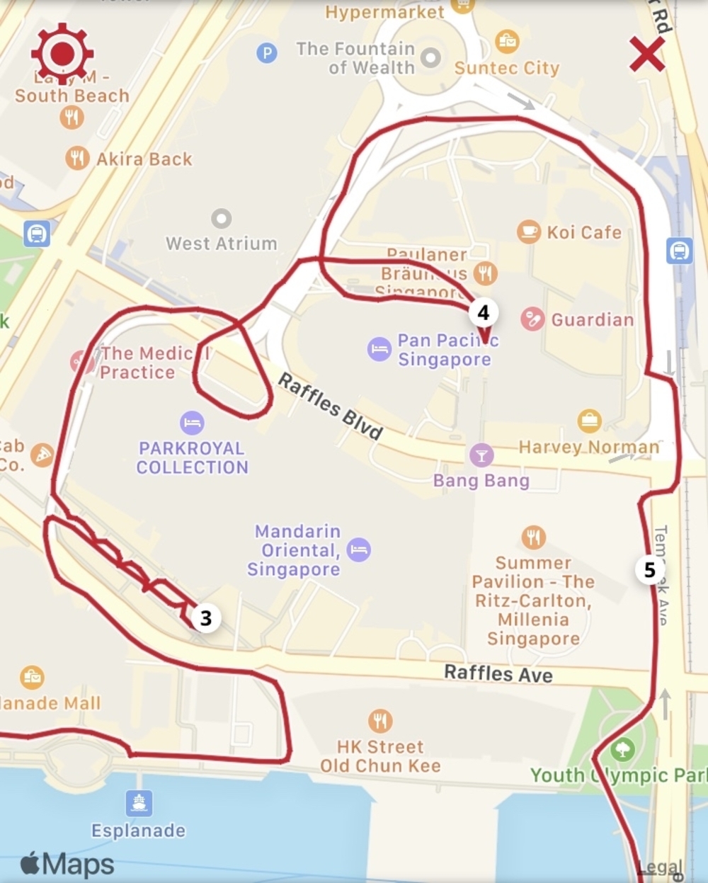 シンガポールお絵描きラン（６）ゴリラ？ドテチン？の写真13