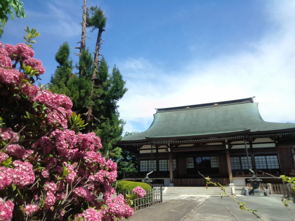 東村山の寺院を巡り北山公園から八国山を望むの写真14