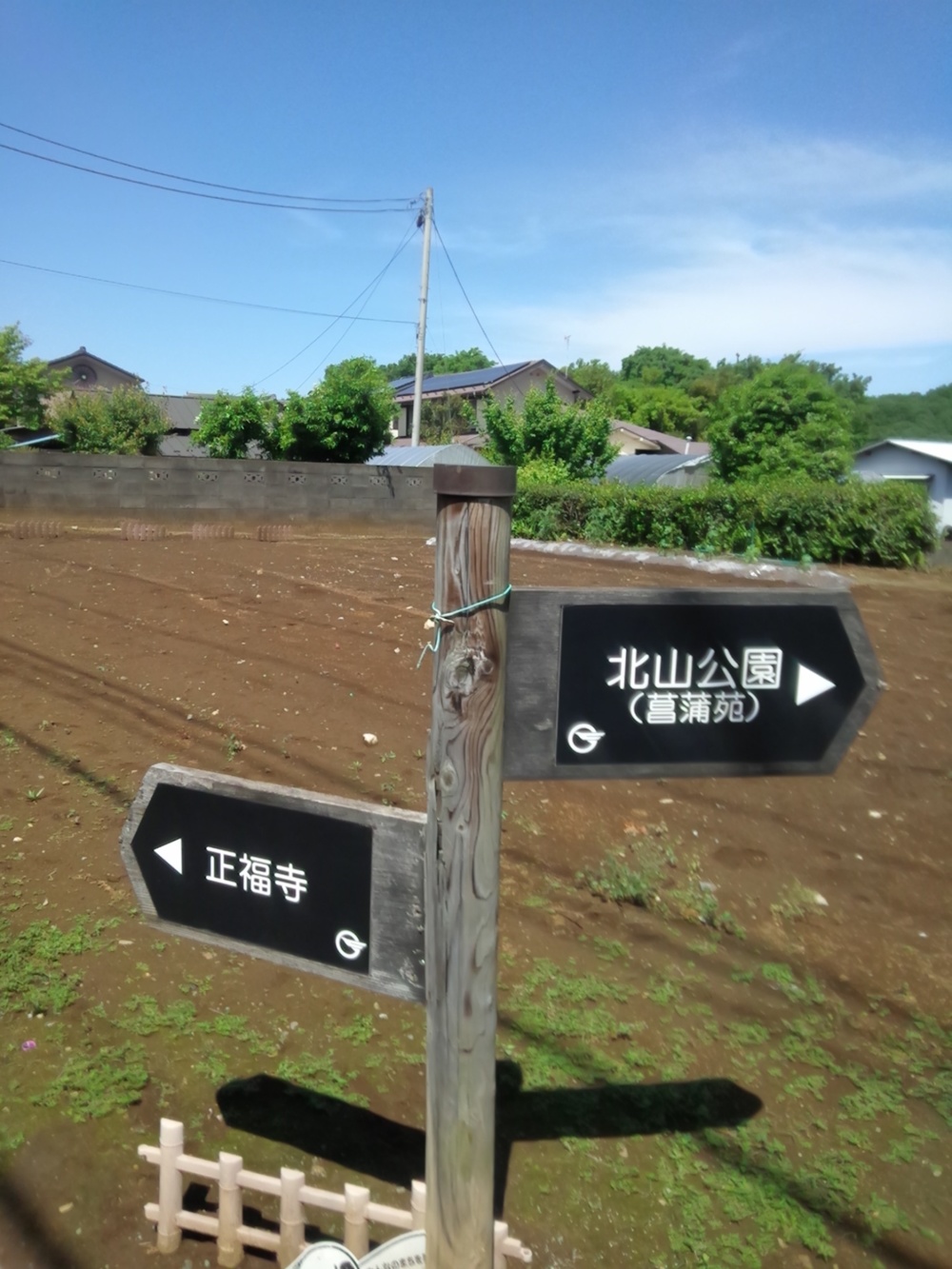 東村山の寺院を巡り北山公園から八国山を望むの写真15