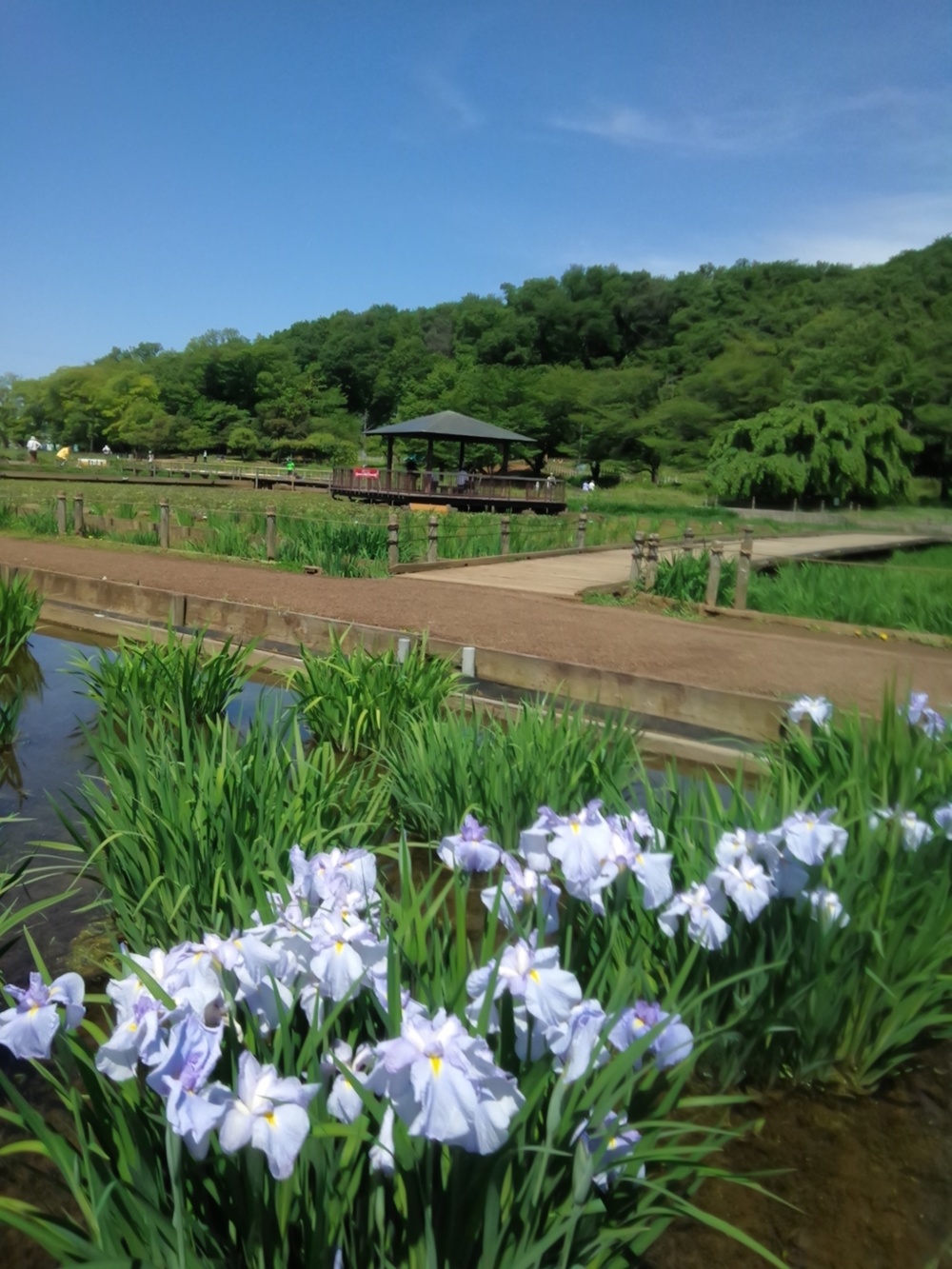 東村山の寺院を巡り北山公園から八国山を望むの写真16