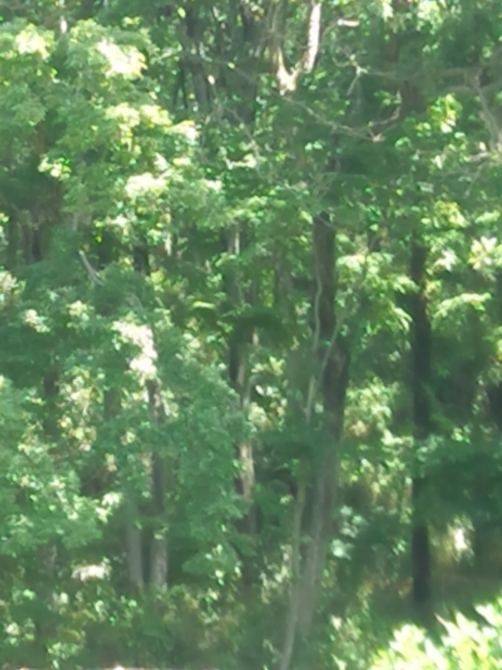 東村山の寺院を巡り北山公園から八国山を望むの写真17