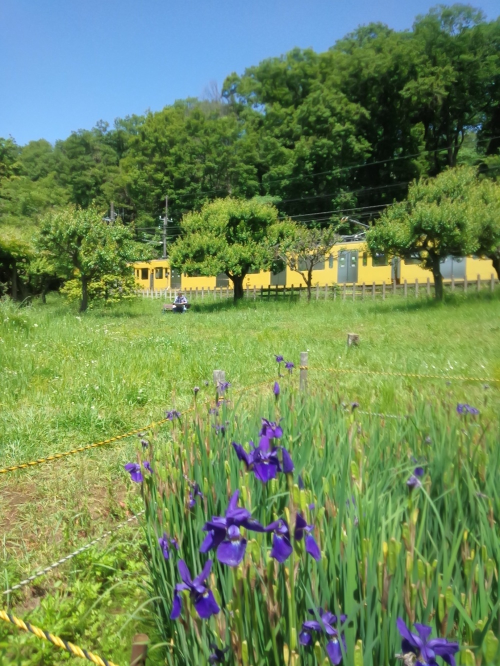東村山の寺院を巡り北山公園から八国山を望むの写真19