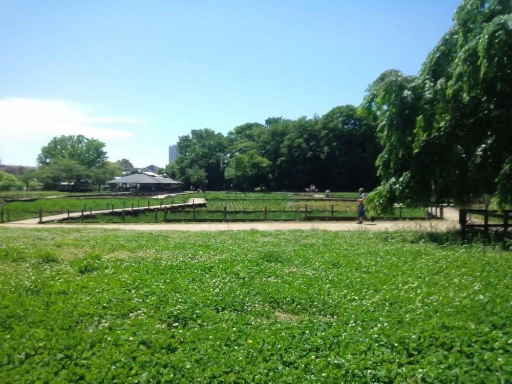 東村山の寺院を巡り北山公園から八国山を望むの写真20