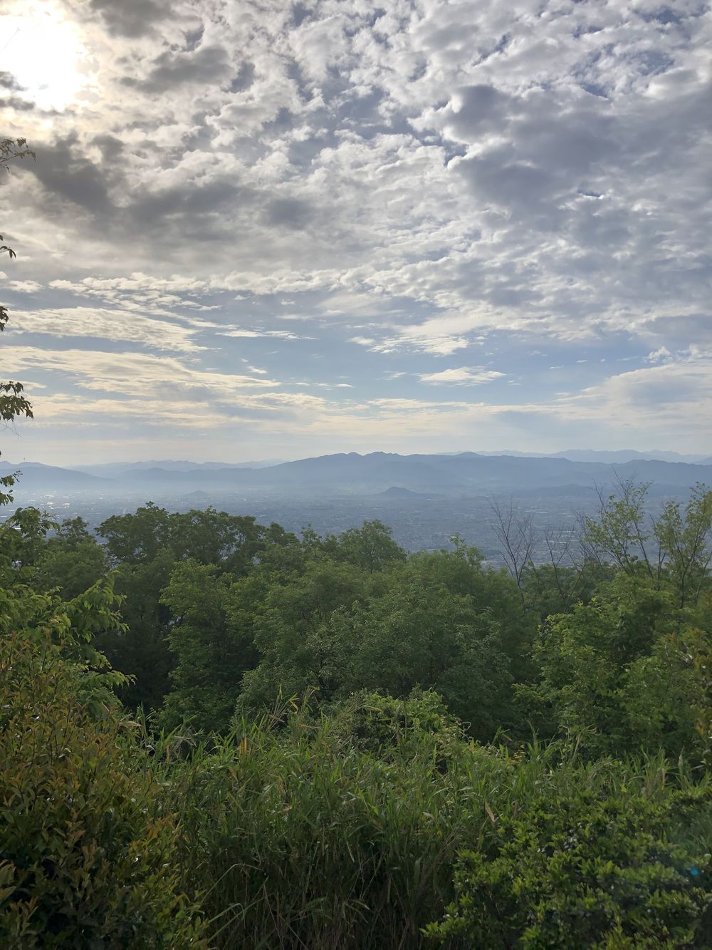 ダイヤモンドトレール二上山から紀見峠の写真4