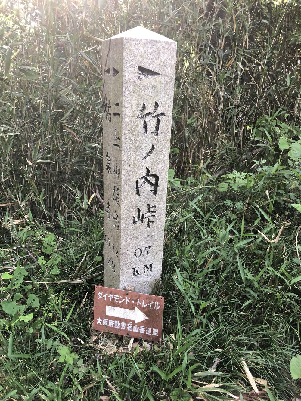 ダイヤモンドトレール二上山から紀見峠の写真5