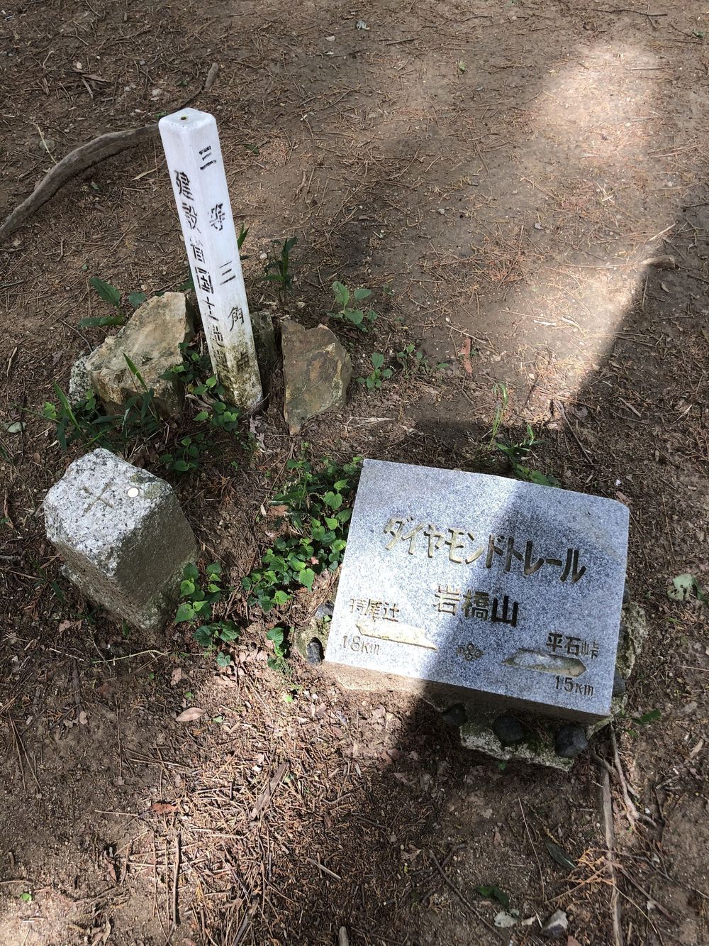 ダイヤモンドトレール二上山から紀見峠の写真7