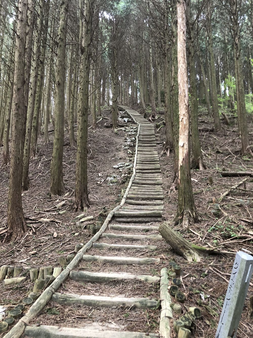 ダイヤモンドトレール二上山から紀見峠の写真8