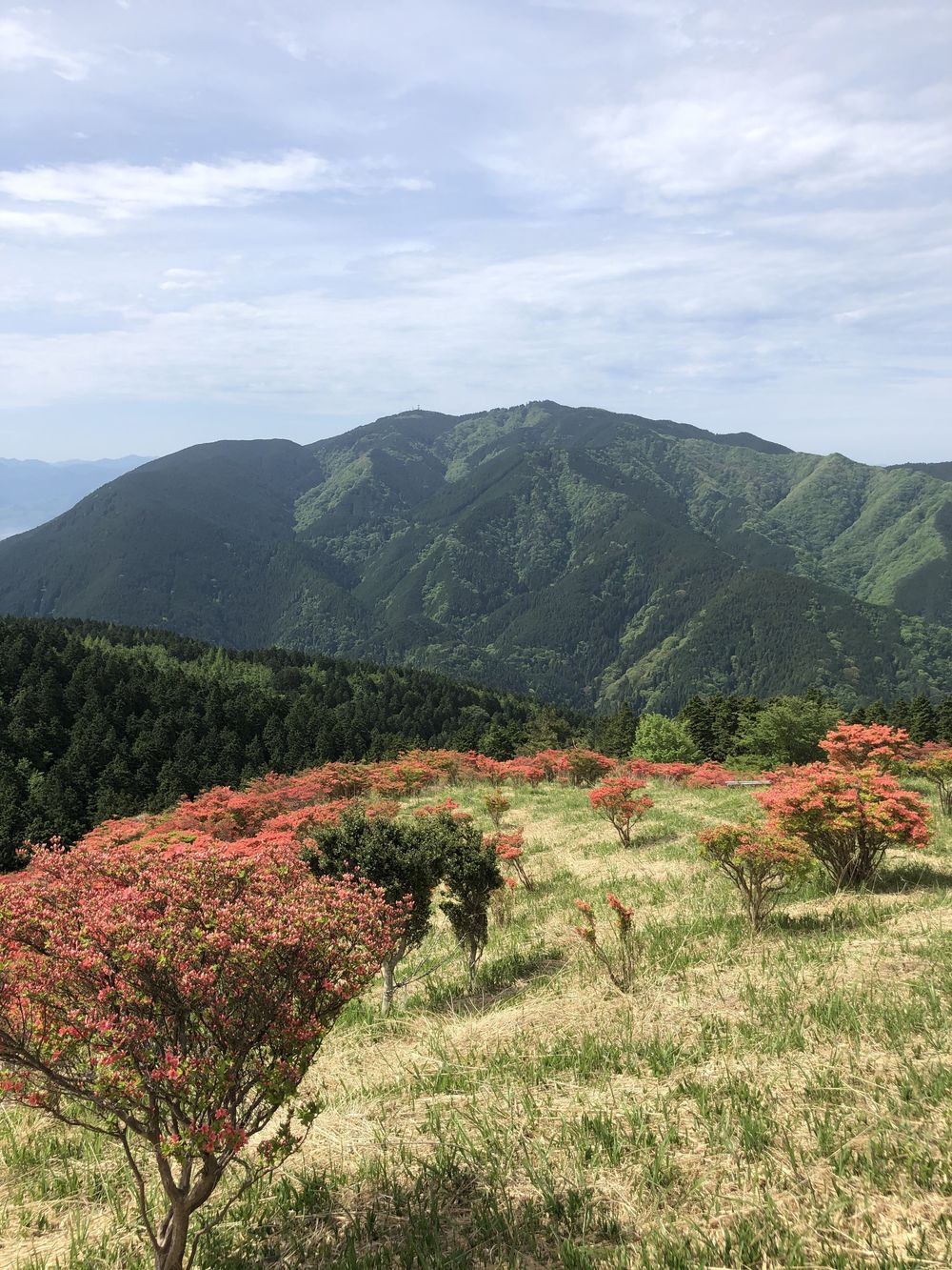 ダイヤモンドトレール二上山から紀見峠の写真10