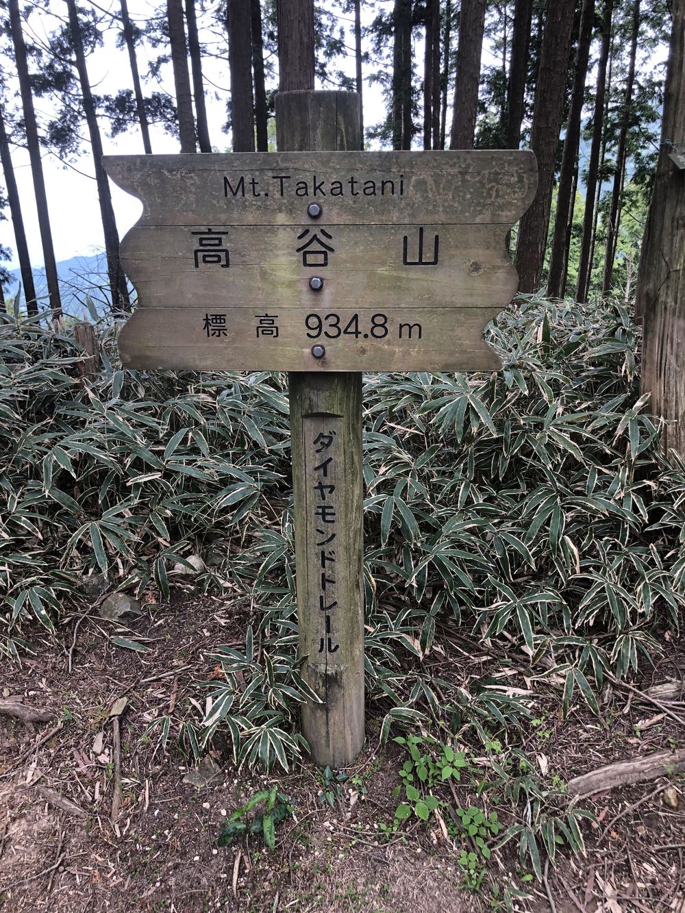 ダイヤモンドトレール二上山から紀見峠の写真13