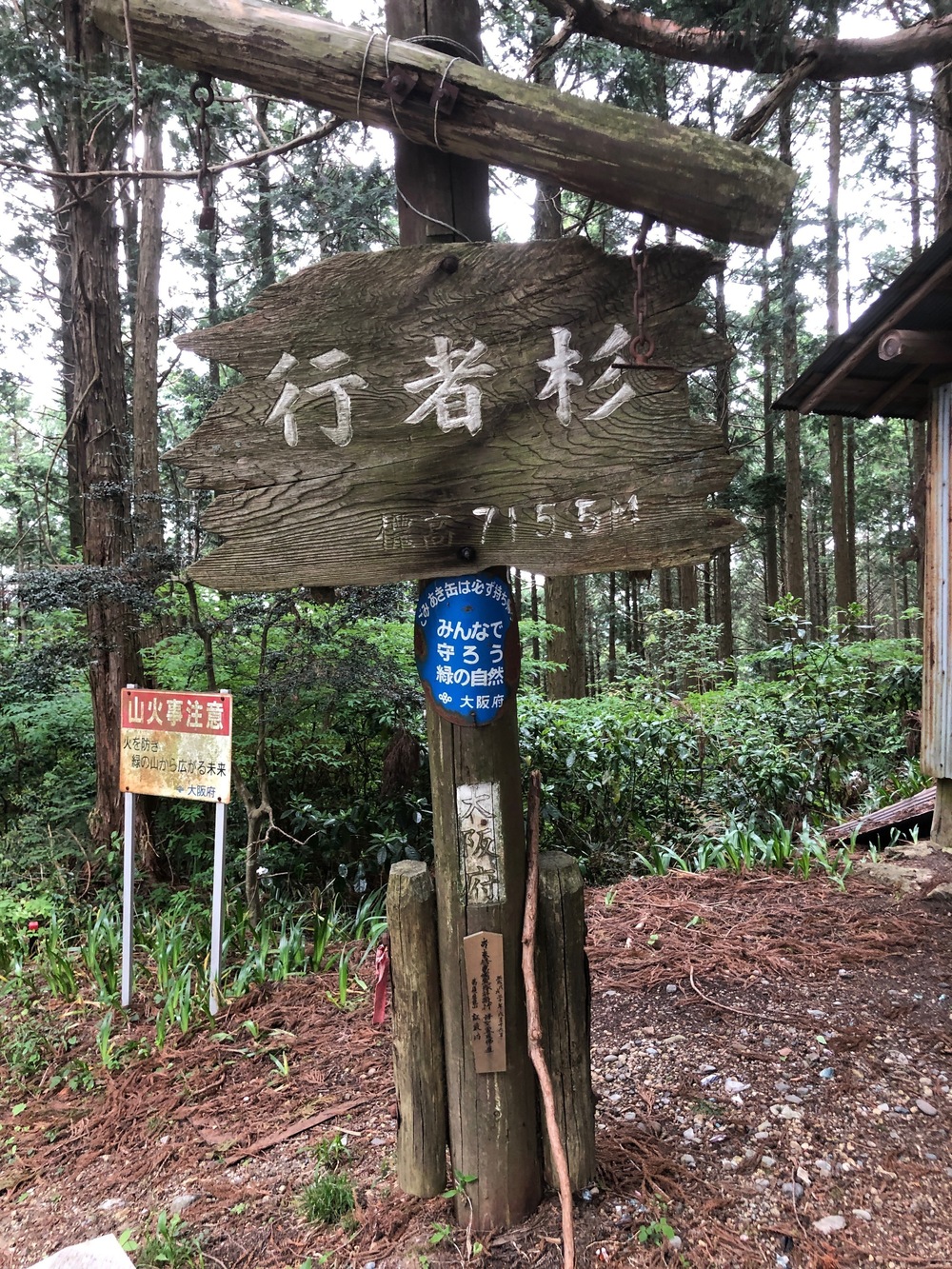 ダイヤモンドトレール二上山から紀見峠の写真16