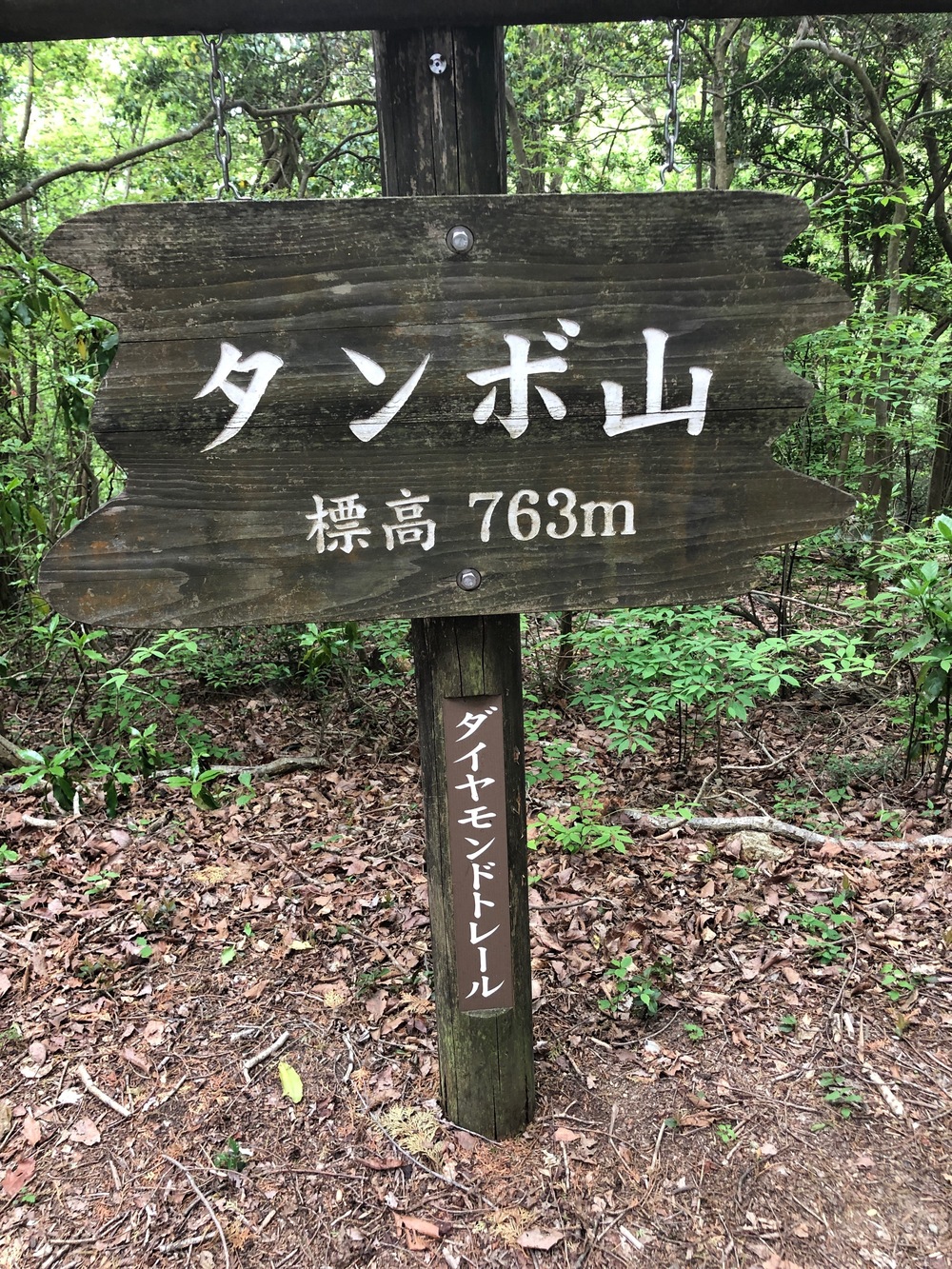 ダイヤモンドトレール二上山から紀見峠の写真17